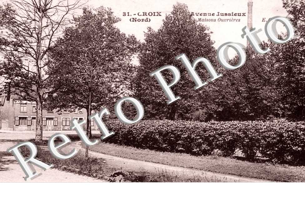 avenue Jussieux