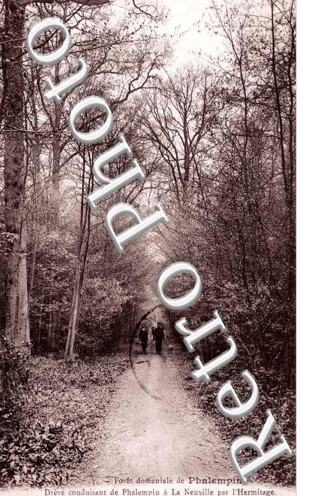 Foret domaniale