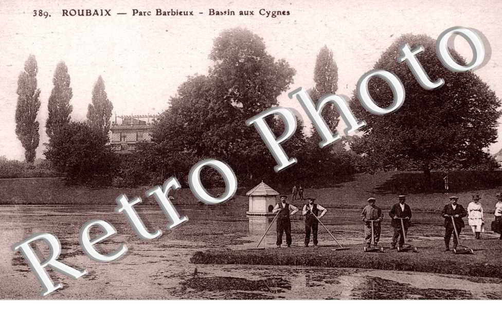 Parc Barbieux, Bassin aux Cygnes