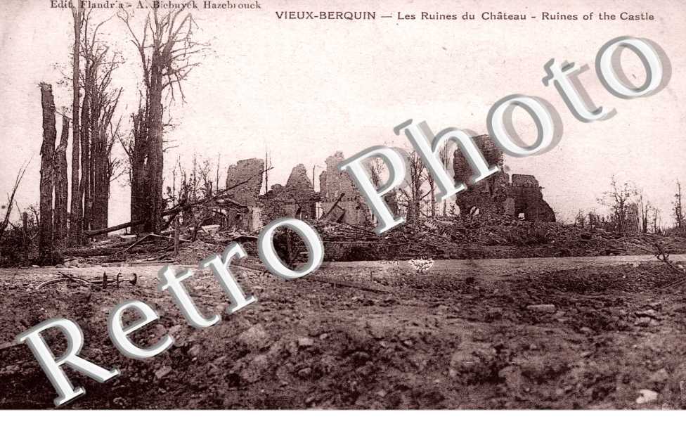 les ruines du chateau