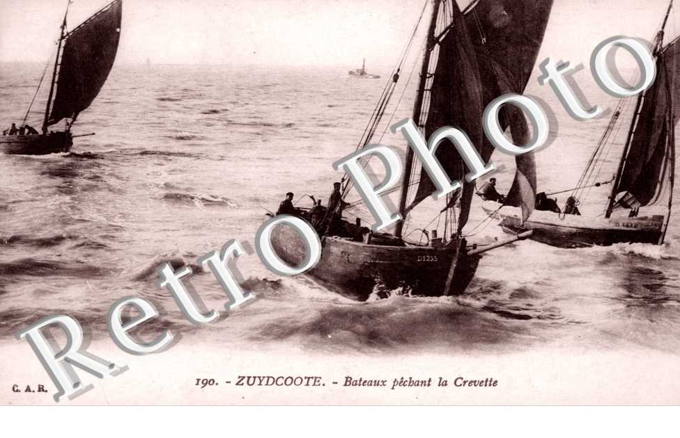 bateaux pechant la crevette