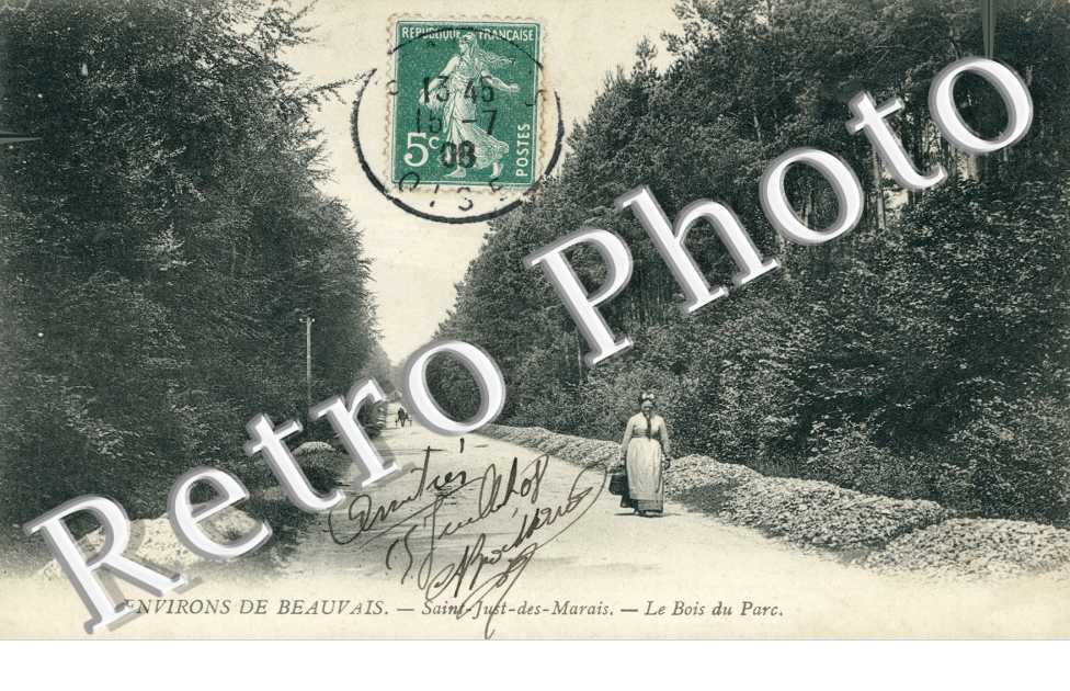 Saint Just les Marais - le bois du parc