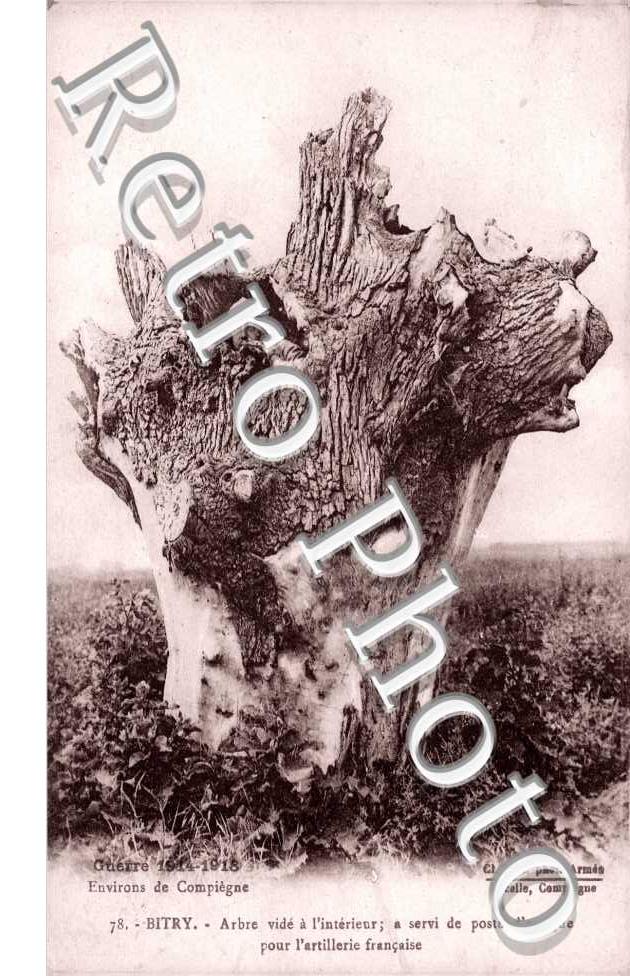 Arbre vidé de l&#039;Intérieur