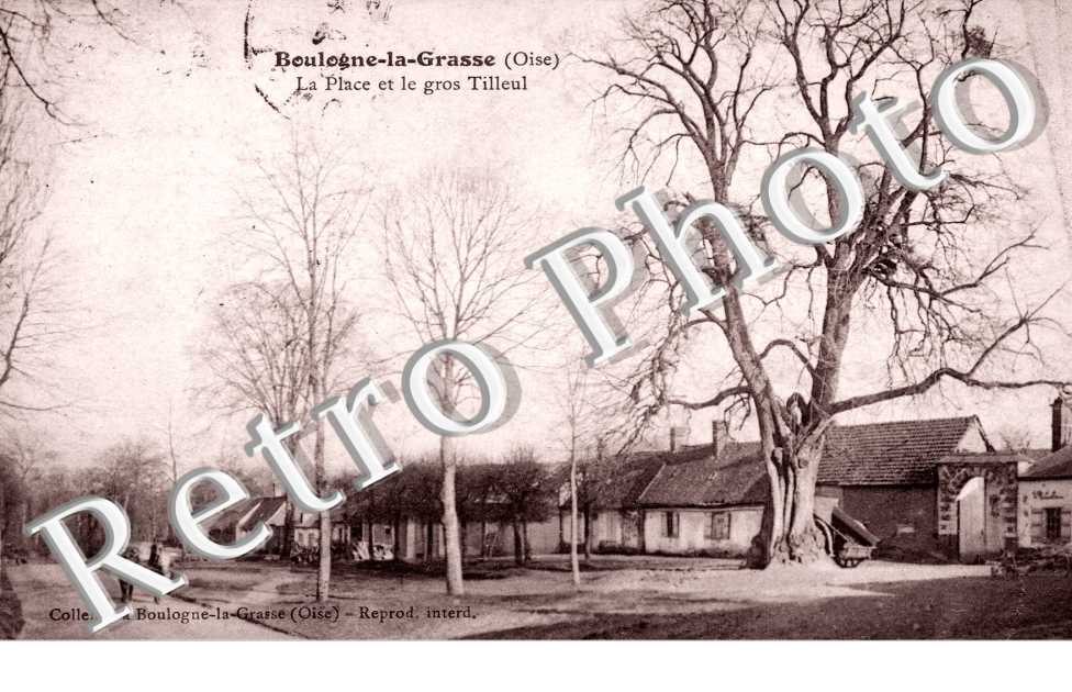 La Place et le Gros Tilleul