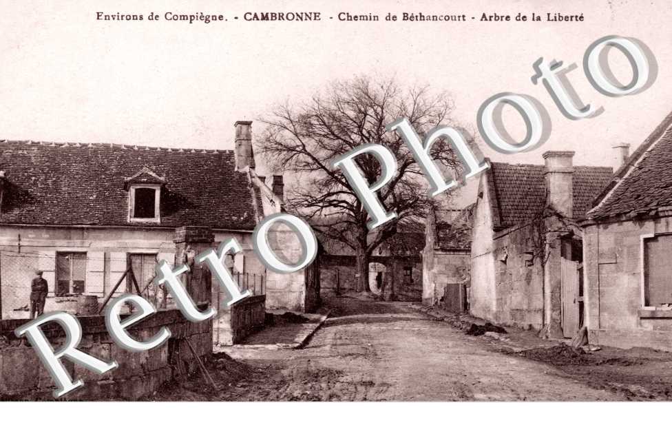 Chemin de Bethancourt, Arbre de la Liberte