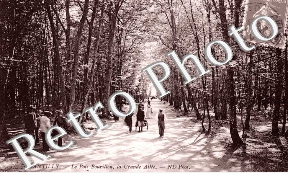 le bois Bourillon