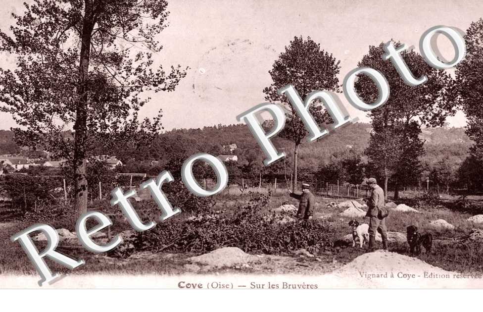 Coye-la-Foret, Sur les Bruyeres