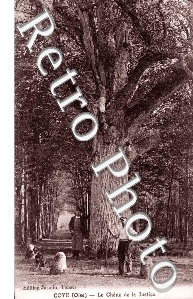Coye-la-Forêt, le Chêne de la Justice