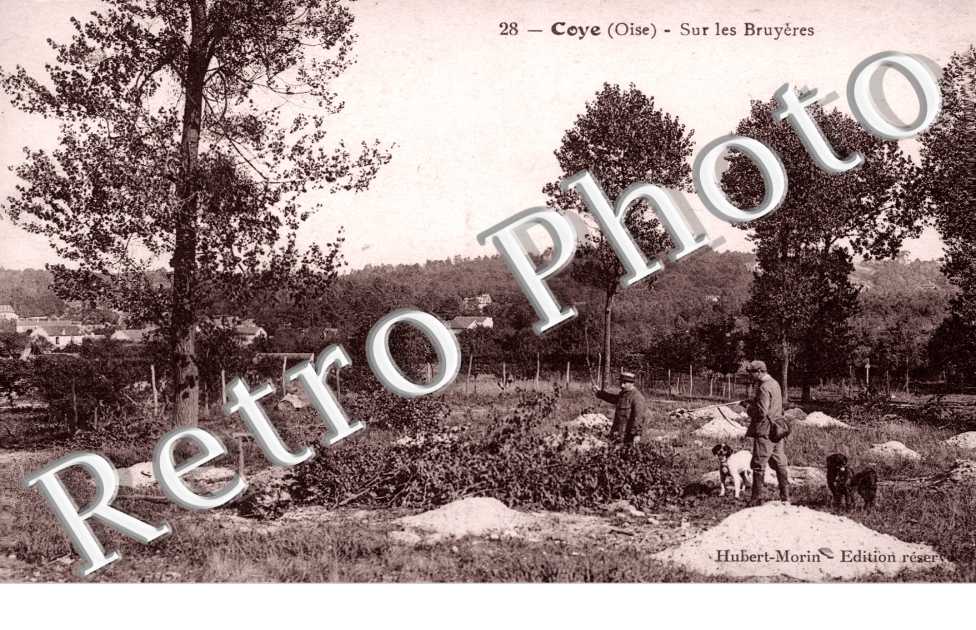 Coye-la-Foret, Sur les Bruyeres