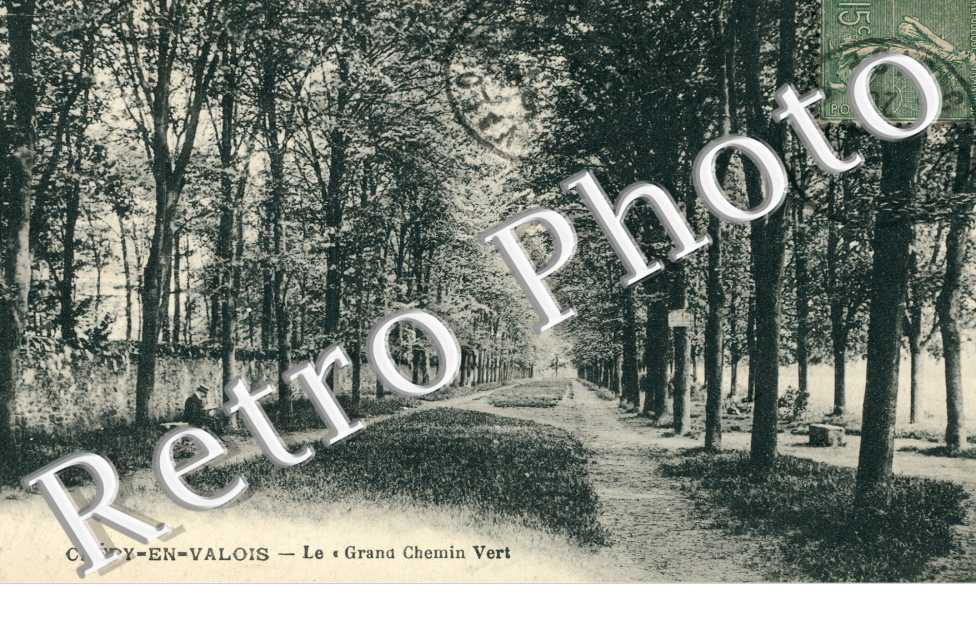 Le grand Chemin Vert