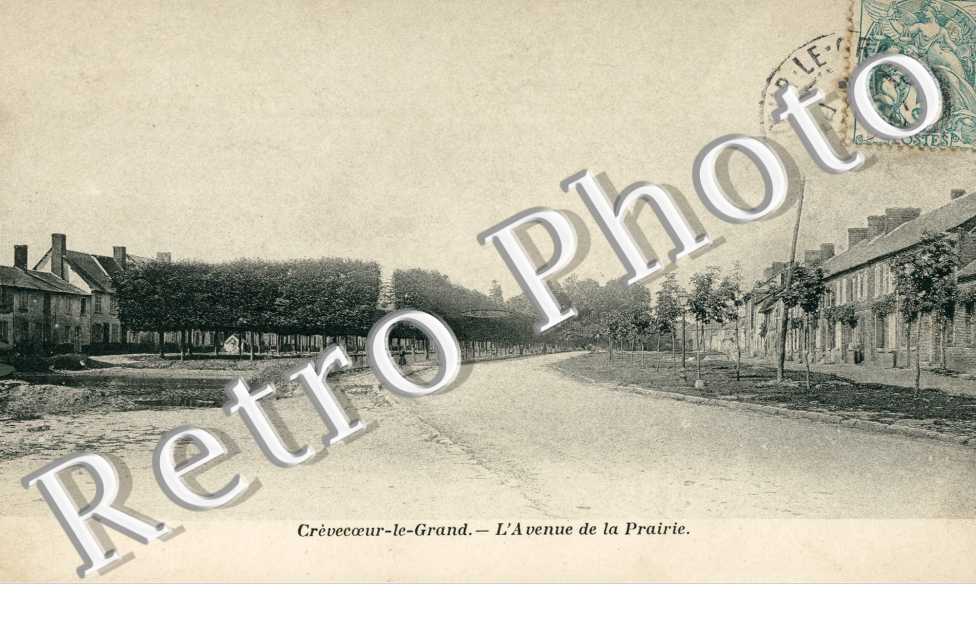 l'Avenue de la Prairie