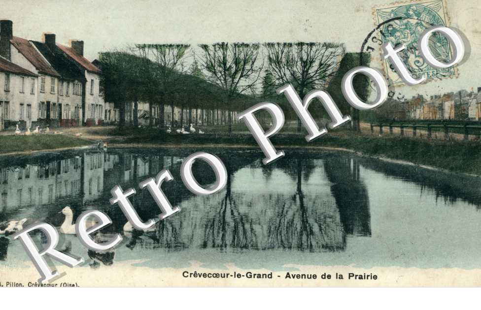 Avenue de la Prairie