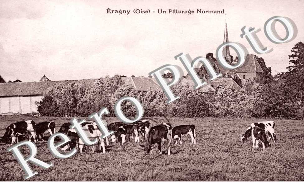Une Paturage Normand