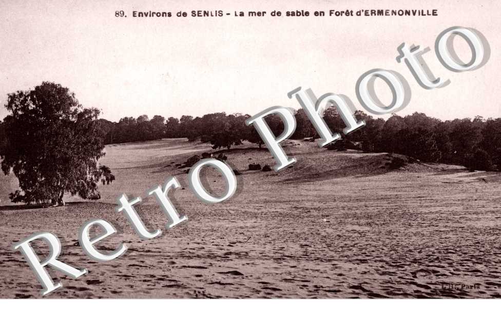 la Mer de sable en Foret d'Ermenonville