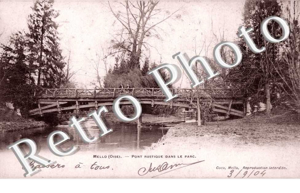 Pont rustique dans le park