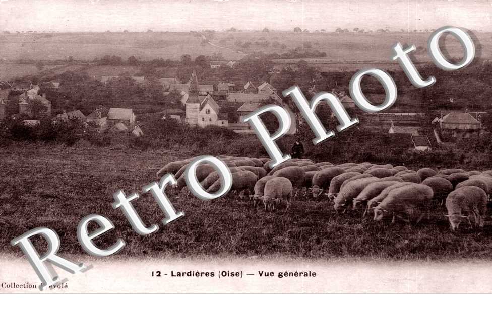 Lardieres - vue generale