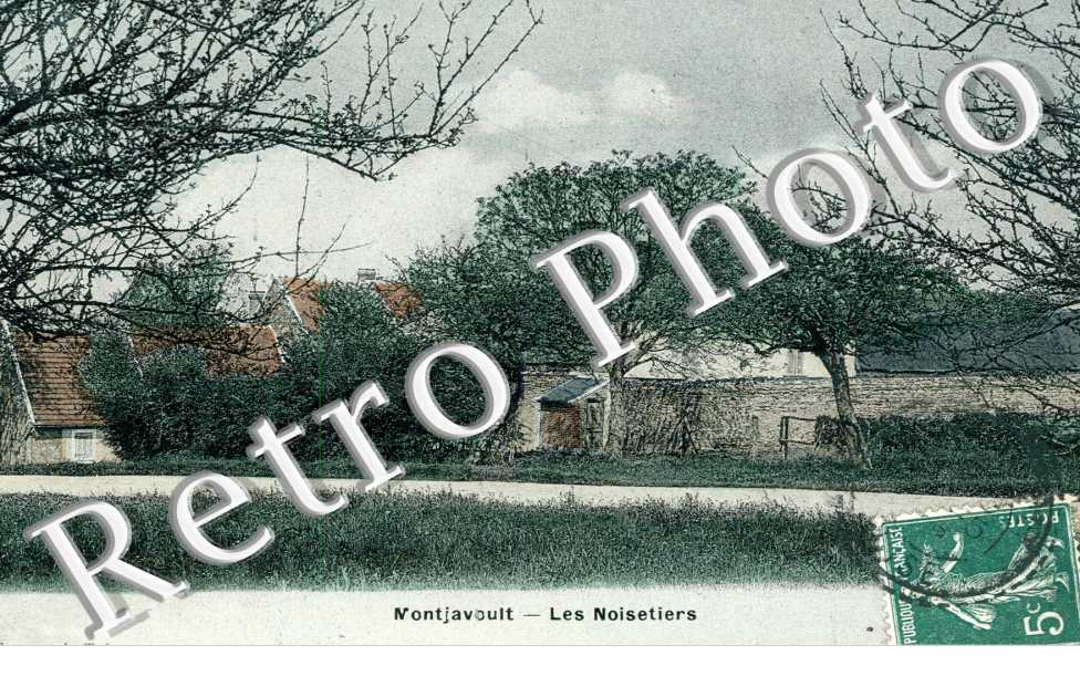 Les Noisetiers