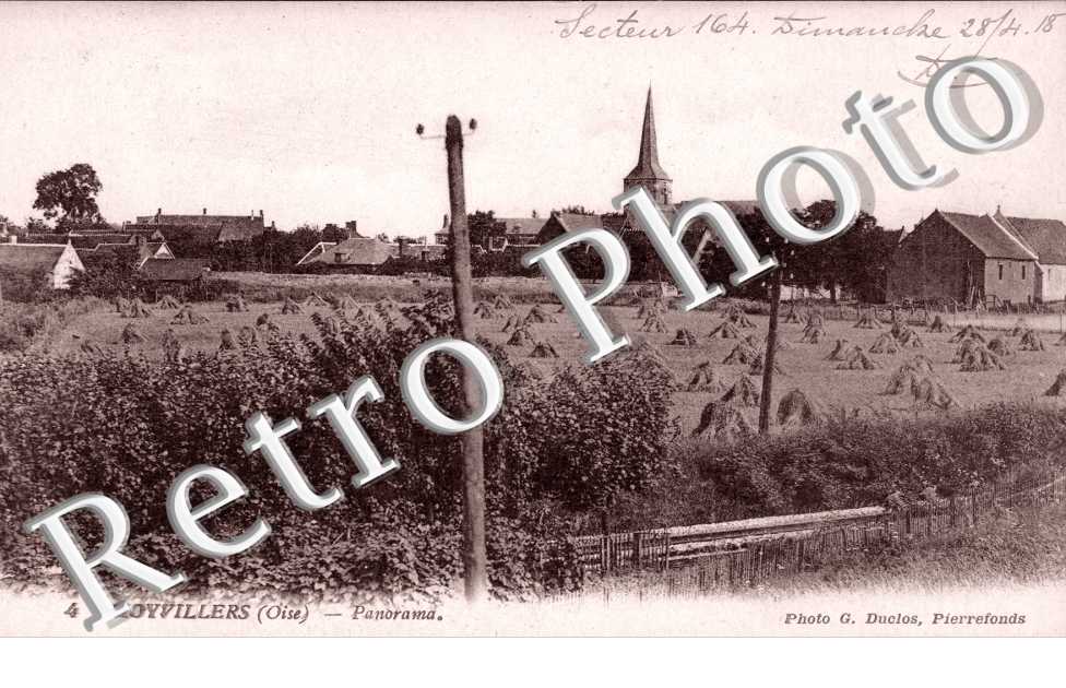 panorama