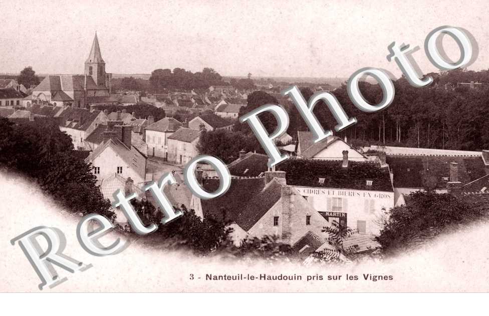 vue prise sur les vignes