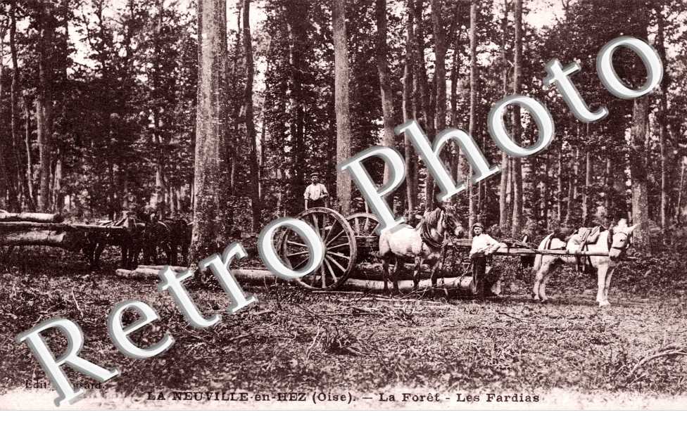 la Foret, les Fardias