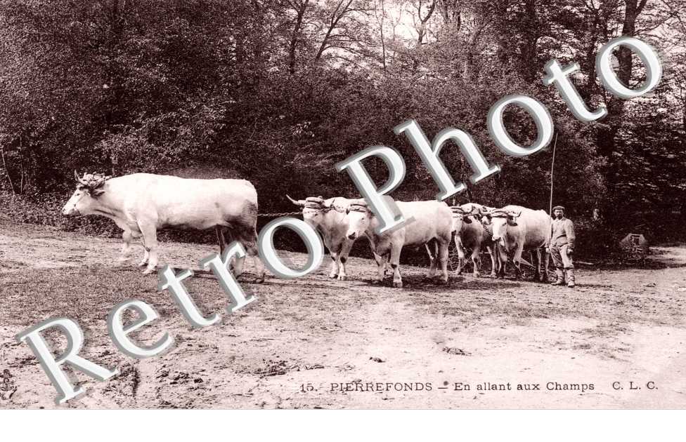 En allant aux Champs