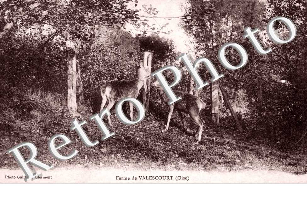 Ferme de Valescourt
