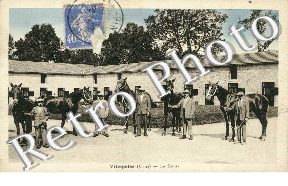 Villepelee - le Haras