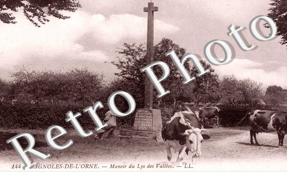le manoir du Lys des vallees (calvaire)