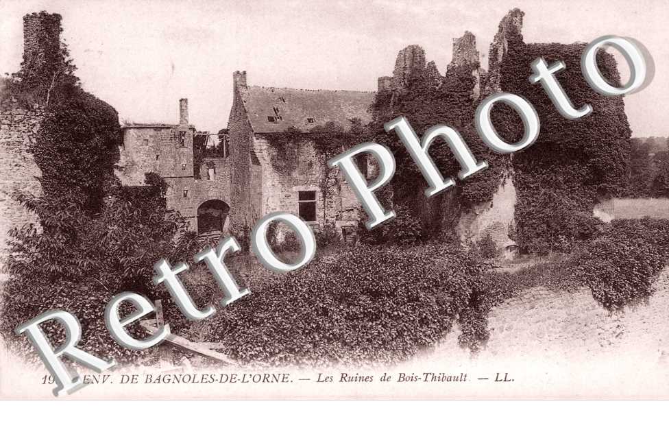 Les ruines du Chateau de Bois Thibault