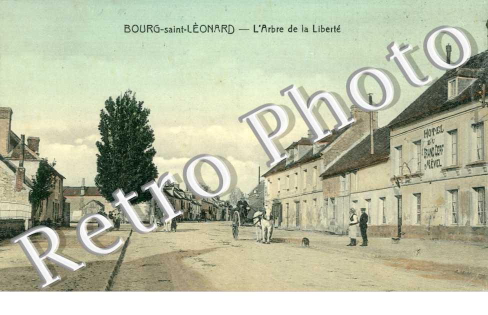 l&#039;arbre de la liberte 