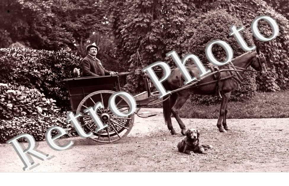 Un homme dans sa charrette avec son cheval et son chien
