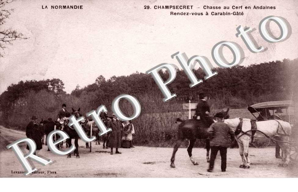 u cerf en Andaines - rendez-vous a Carabin-Gate (CHASSE A COURRE)
