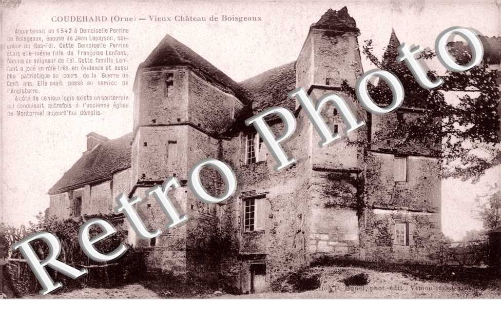 Vieux Chateau de Boisgeaux