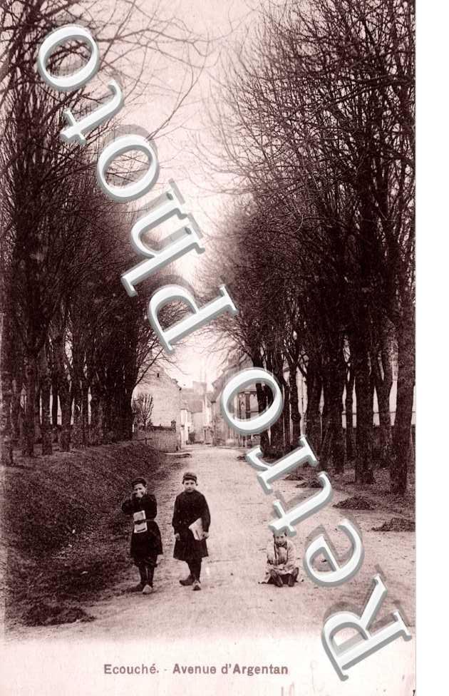 avenue d&#039;argentan