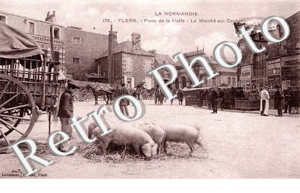 place de la halle - le marche aux cochons