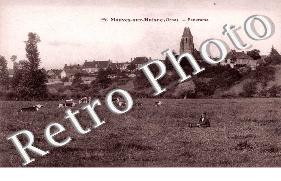 Panorama