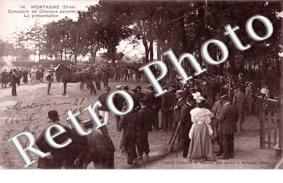 Concours de Chevaux percherons