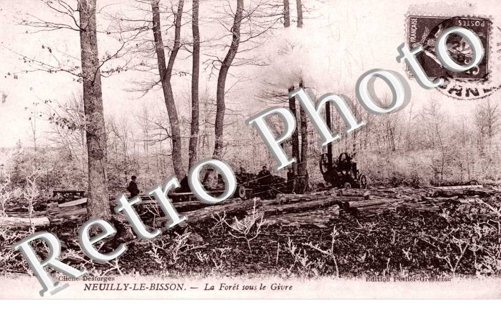 Foret sous le Givre