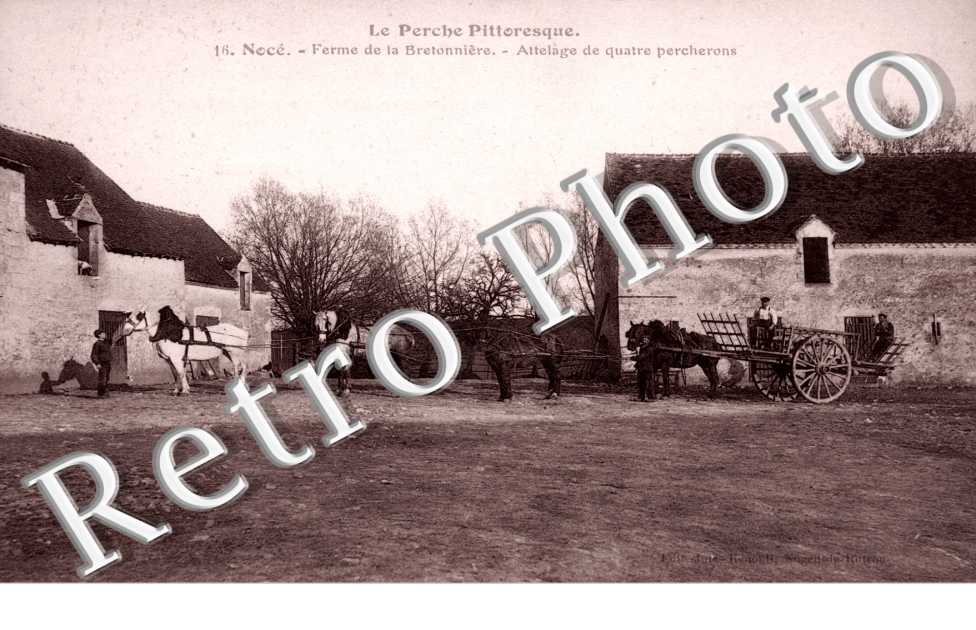 ferme de la Bretonniere - attelage de quatre percherons
