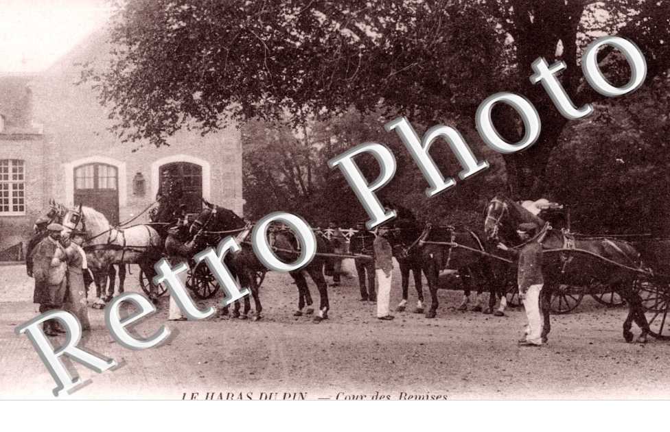 Le Haras - cour des remises 
