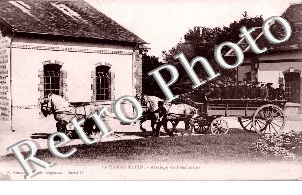 Attelage de percherons