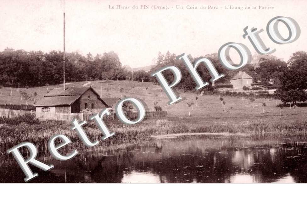 un coin du parc - l&#039;etang de la pature
