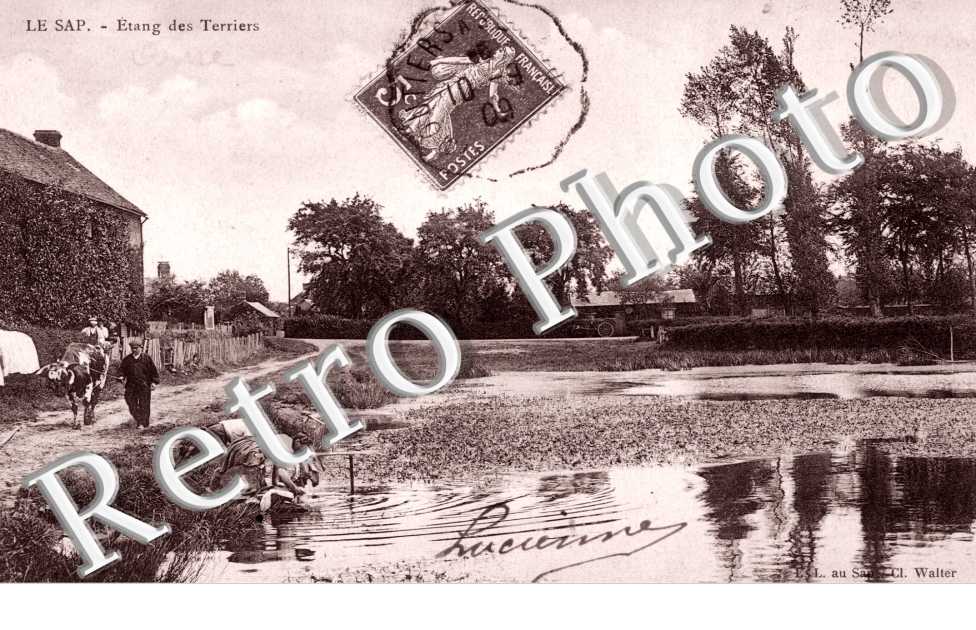 Etang des Terriers