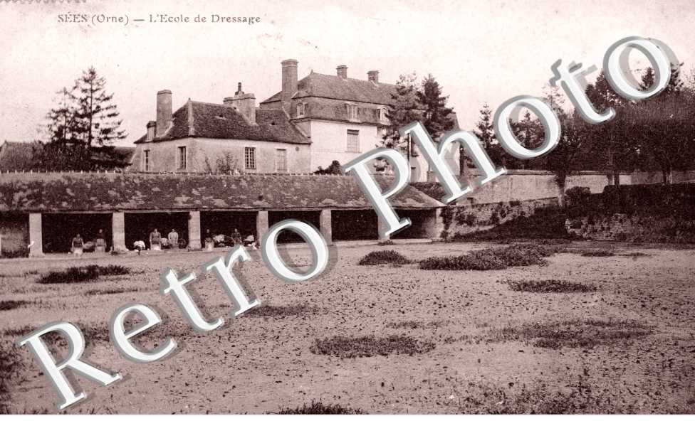 l'Ecole de Dressage