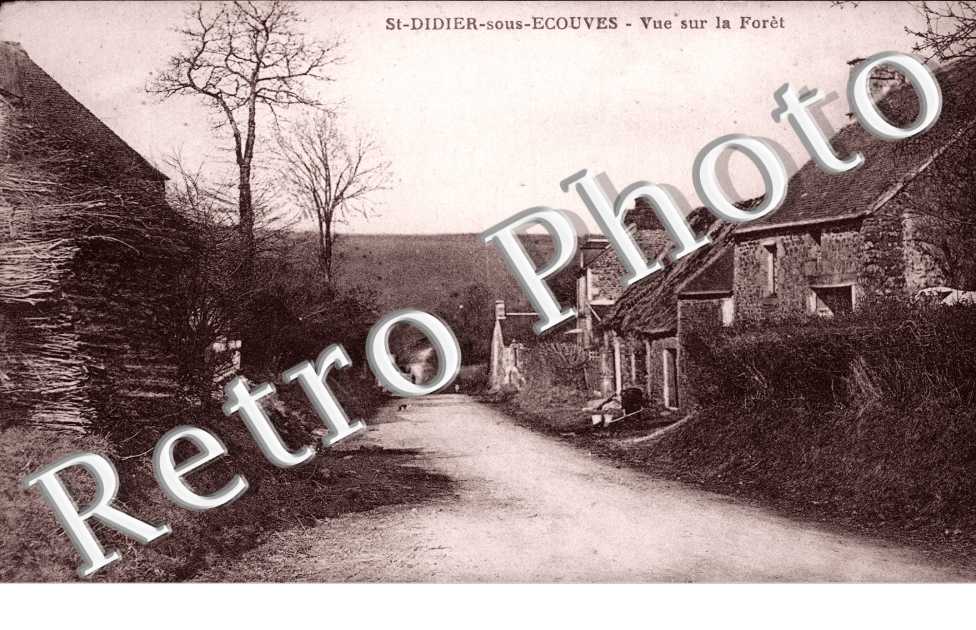 vue sur la foret