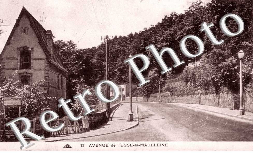 Avenue de Tesse-la-Madeleine