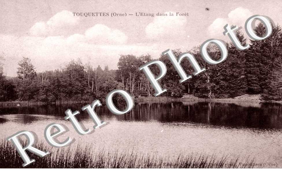 l&#039;Etang dans la Foret