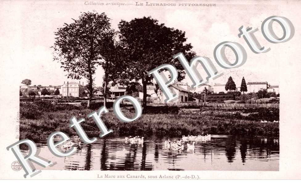 la Mare aux Canards