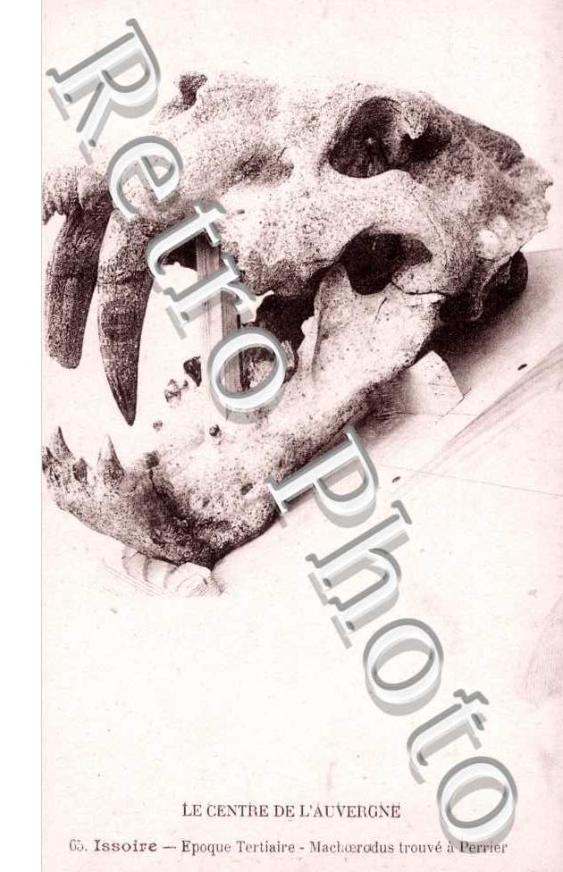 archeologie