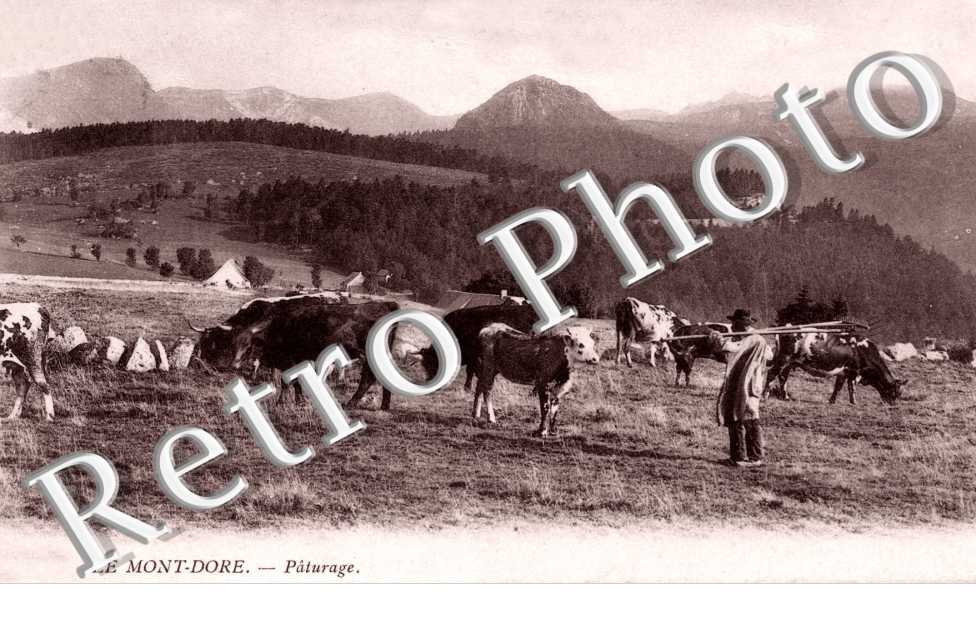 Paturage